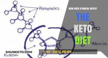 D-Ribose and Keto: Impact on Energy, Metabolism, and Diet Success