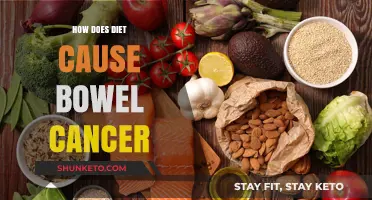 Diet's Link to Bowel Cancer Explained