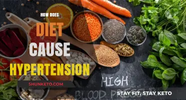 Diet's Link to Hypertension: What You Need to Know