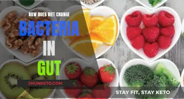 Diet's Impact: Changing Gut Bacteria for Better Health