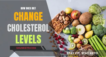 Cholesterol and Diet: What to Eat and Avoid