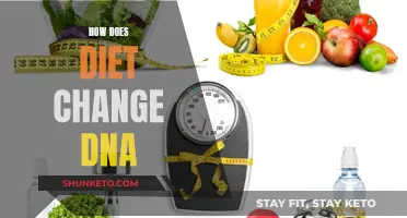 Diet's DNA Impact: Unraveling Nutrition's Genetic Influence