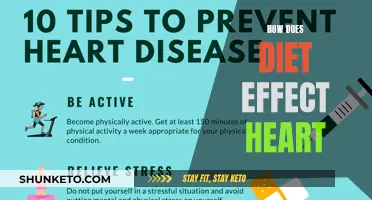 Heart Health: The Impact of Diet Choices
