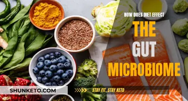 The Microbiome Diet: Eating for Gut Health