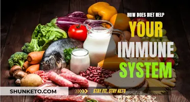 Boosting Your Immune System Through Diet
