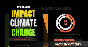 Diet's Climate Impact: What You Eat Affects the Planet