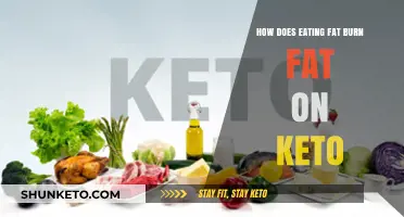 Eating Fat to Burn Fat: The Keto Diet's Surprising Mechanism