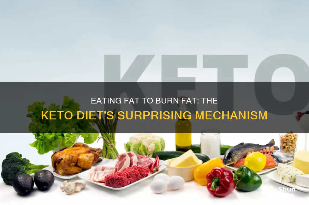 how does eating fat burn fat on keto