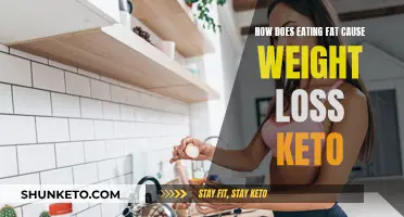 Fat-Fueled Weight Loss: The Keto Mystery Explained