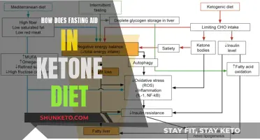 Fasting and Ketosis: A Powerful Weight Loss Combination