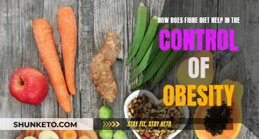 Fibre Diet: Fighting Obesity with Fibre