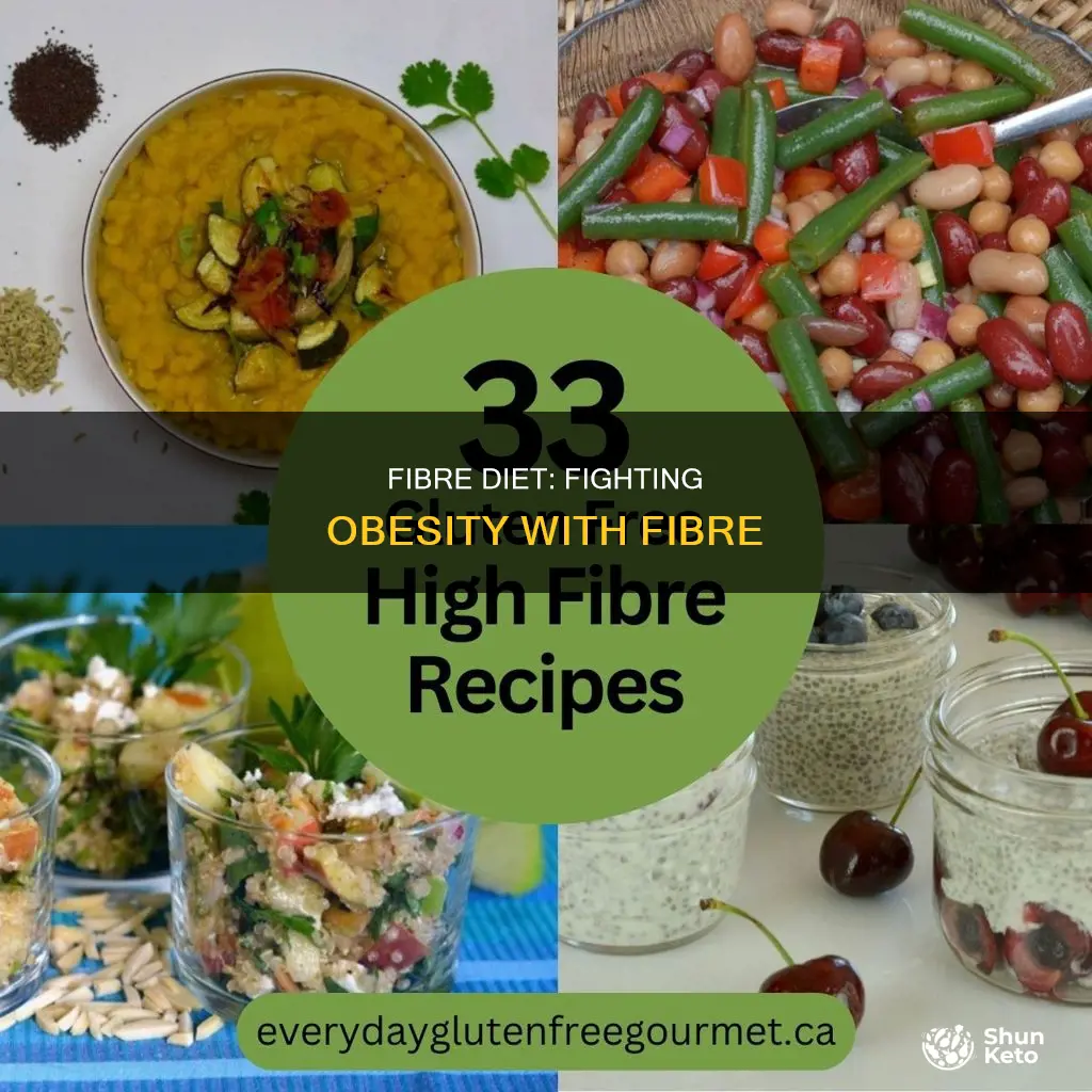 how does fibre diet help in the control of obesity