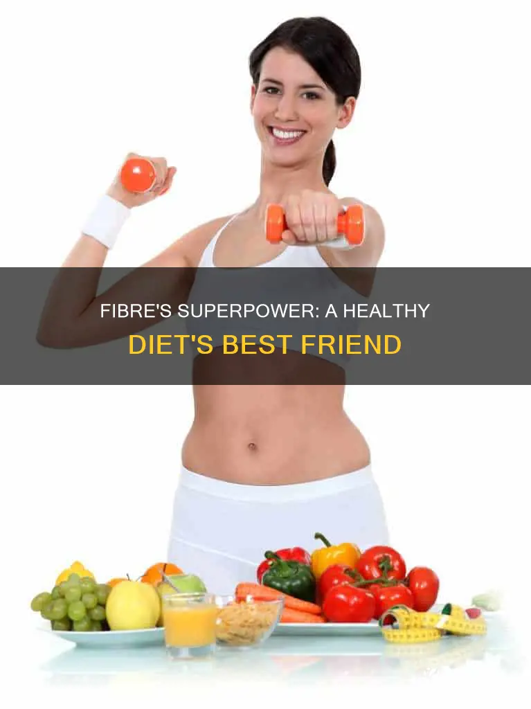 how does fibre help in our diet