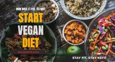 Vegan Diet: My First Impressions and Feelings