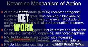 Ketamine's Intriguing Mechanism: How Does Ket Work?