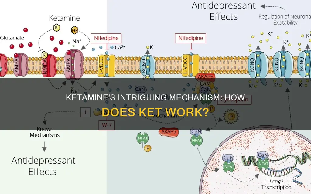 how does ket work