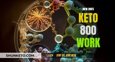 Keto 800: Understanding the Science Behind This Dietary Supplement