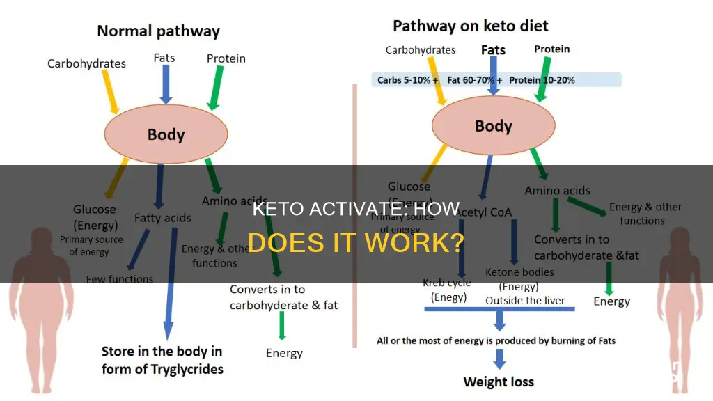 how does keto activate work