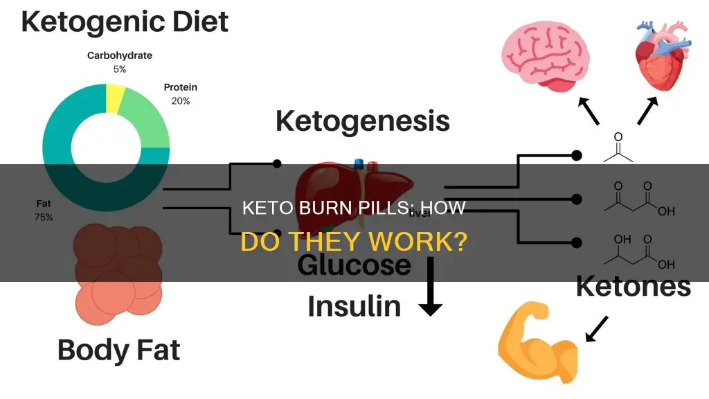 how does keto burn pills work