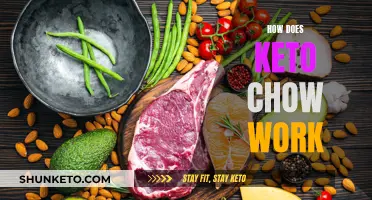 Keto Chow: How It Works and What to Expect