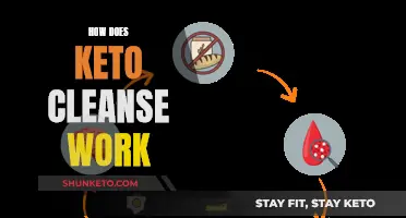 Keto Cleanse: How Does This Diet Work?