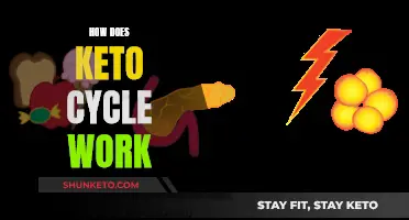 Keto Cycle: How Does This Diet Work?