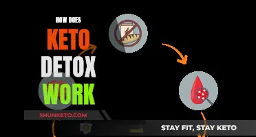 Keto Detox: Understanding the Science Behind the Diet