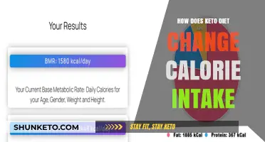How Keto Diet Transforms Your Calorie Intake: A Comprehensive Guide