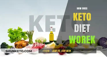 Understanding the Keto Diet: How It Works and Burns Fat Efficiently