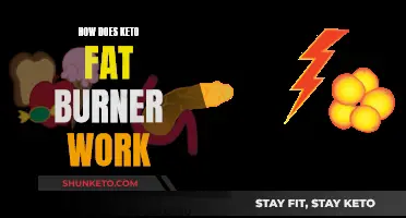 Keto Fat Burner: How Does It Work?