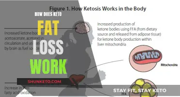 Keto Fat Loss: Understanding the Science Behind the Weight Loss