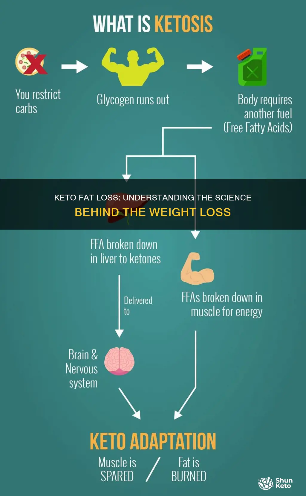 how does keto fat loss work