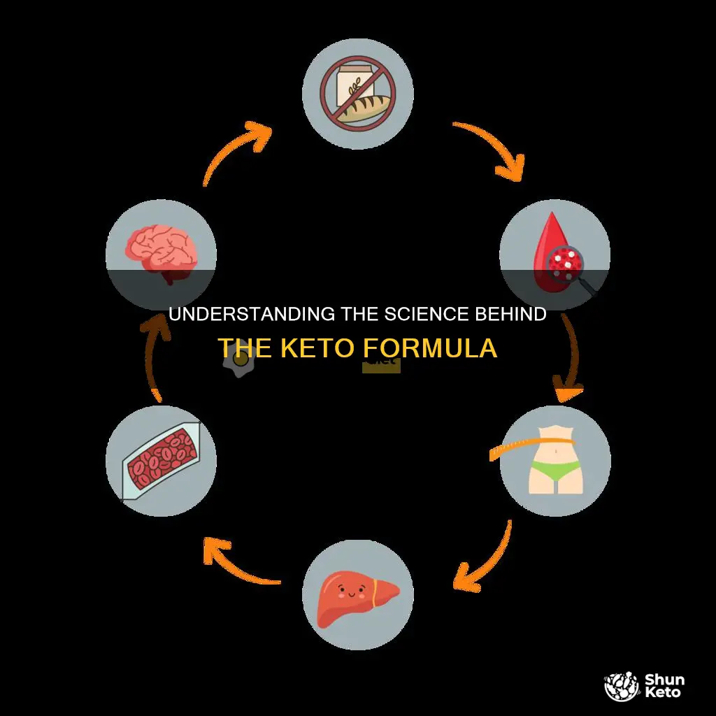 how does keto formula work