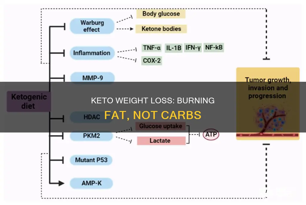 how does keto help burn weight