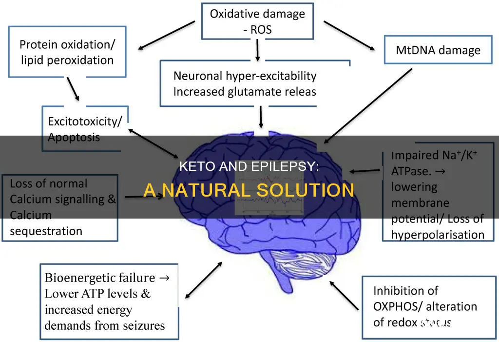 how does keto help epilepsy