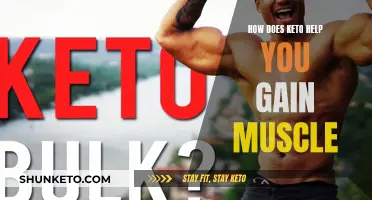 Keto and Muscle Gain: A Powerful Combination