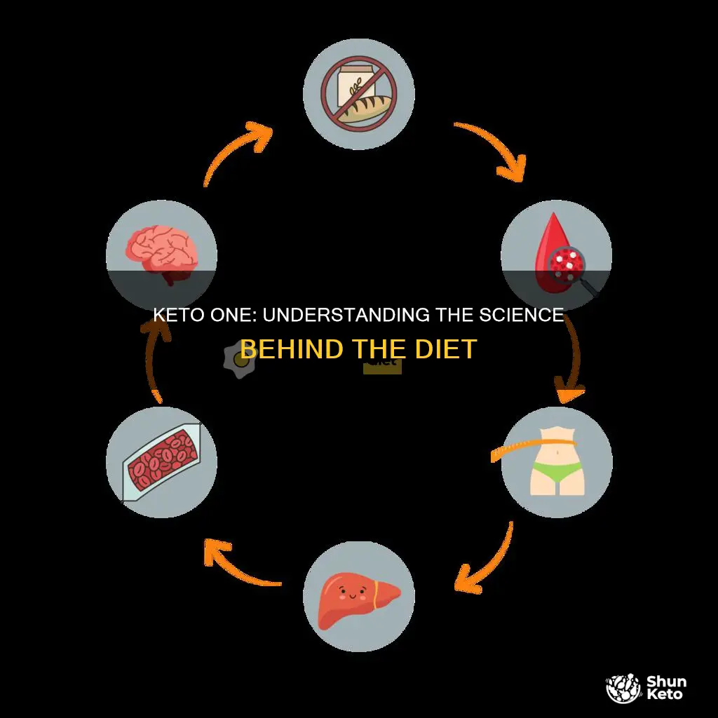 how does keto one work