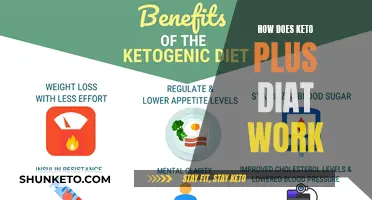 Keto Plus Diet: How Does It Work?