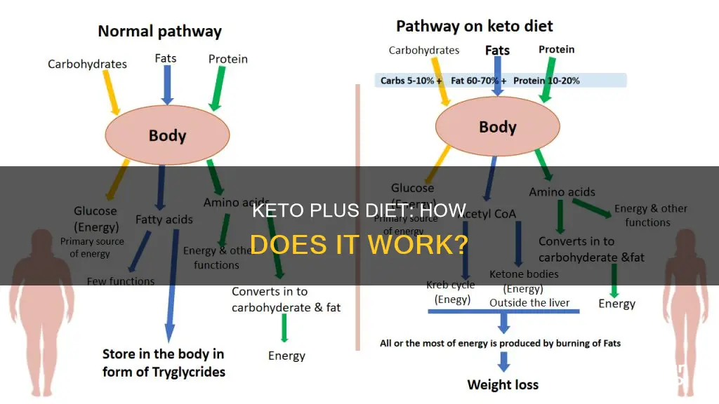 how does keto plus diet work