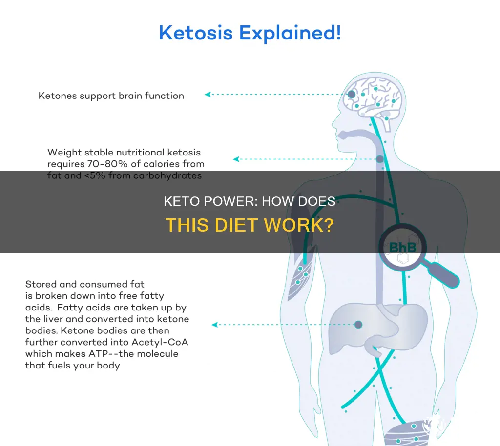 how does keto power work