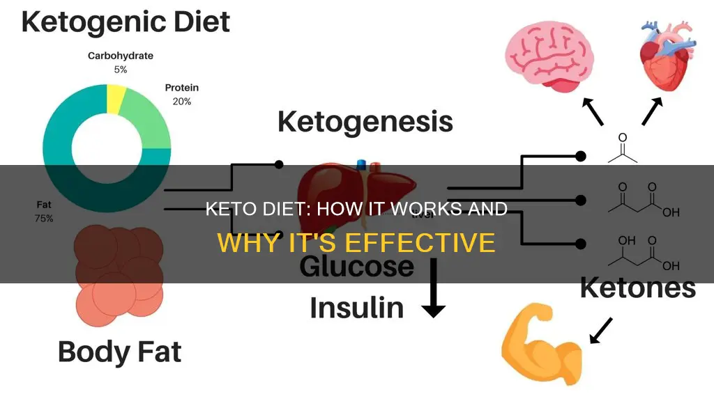 how does keto work and important reasons