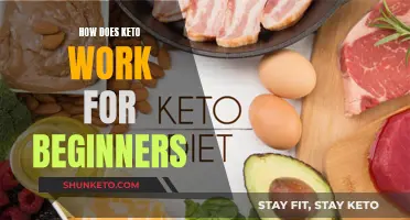 Keto Basics: How Does This Diet Work?