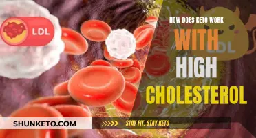 Keto and Cholesterol: A Healthy Balance?