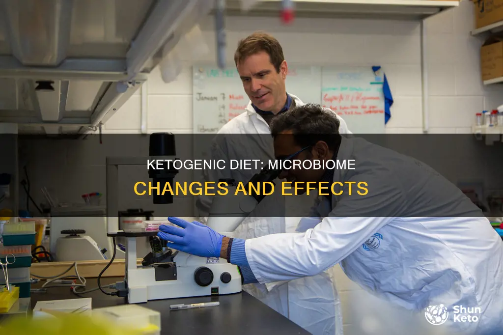 how does ketogenic diet alter microbiome