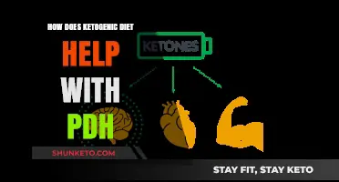 Ketogenic Diet: PDH Management Solution