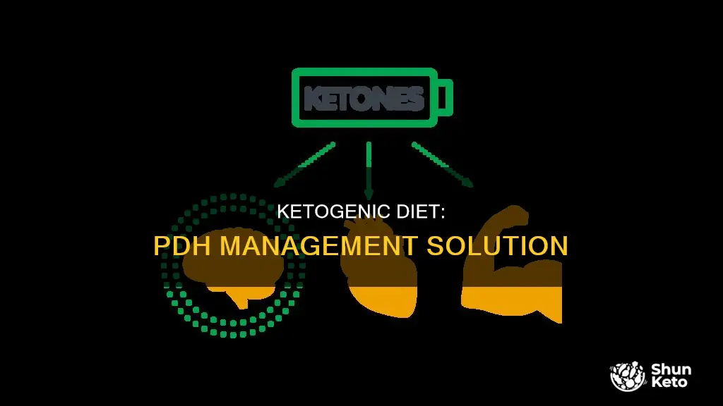 how does ketogenic diet help with pdh