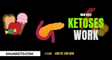 Ketosis: How Does This Diet Work?