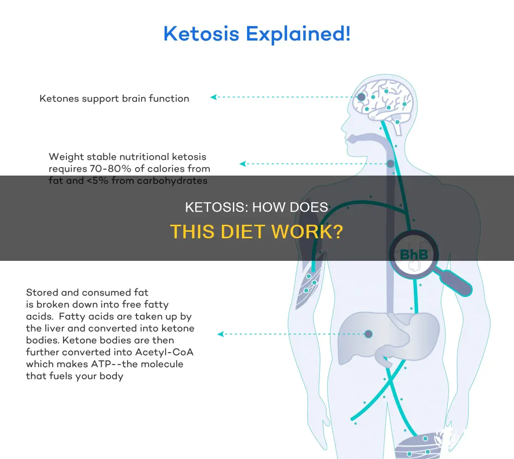 how does ketoses work