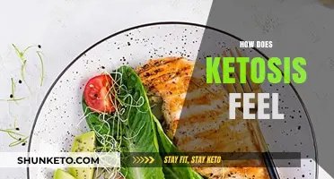 Ketosis Explained: Understanding the Physical and Mental Sensations of Fat Burning