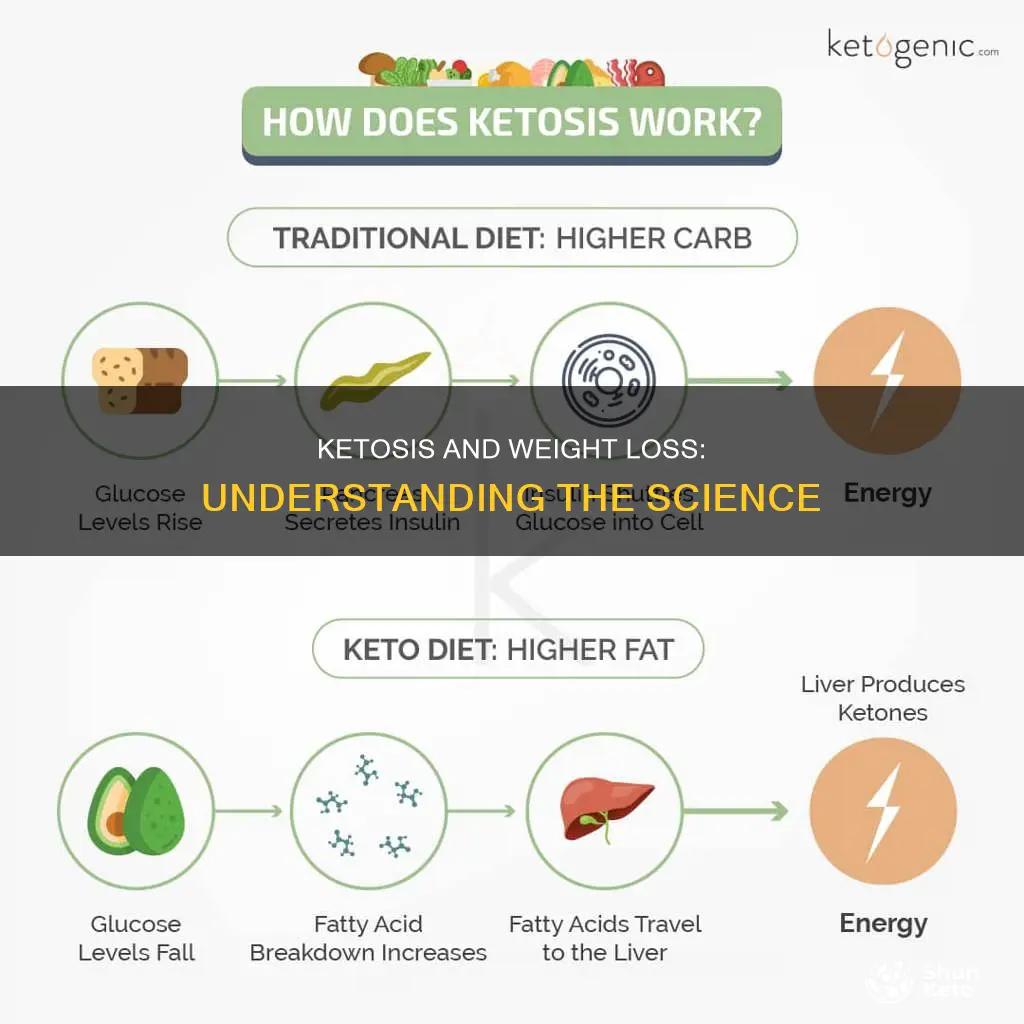 how does ketosis work to lose weight